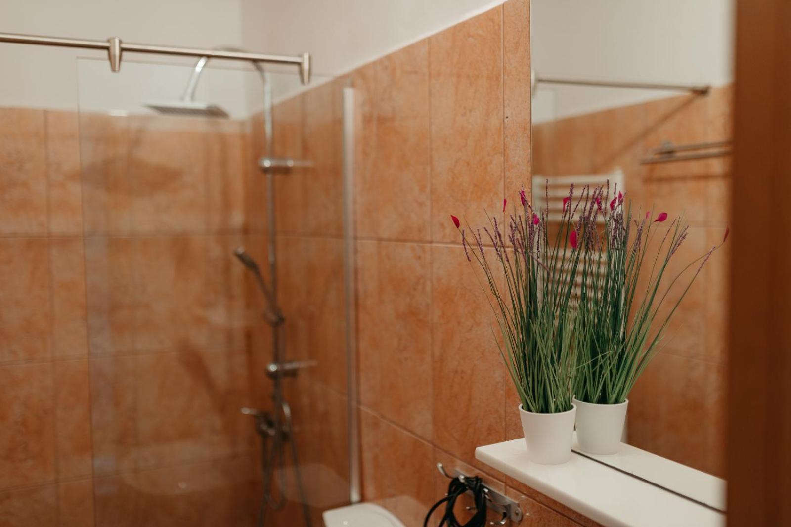 Flh - Apartament Mai Cu Aroma De Cafea Si Ceai Сибиу Экстерьер фото
