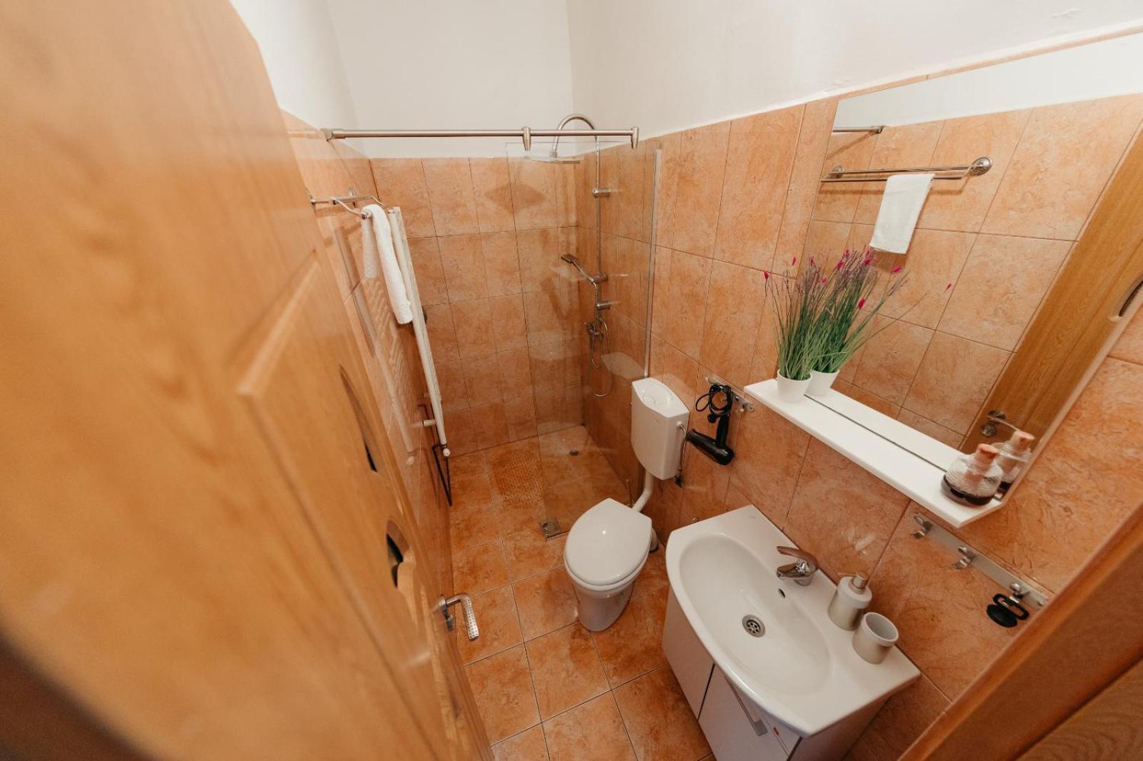 Flh - Apartament Mai Cu Aroma De Cafea Si Ceai Сибиу Экстерьер фото