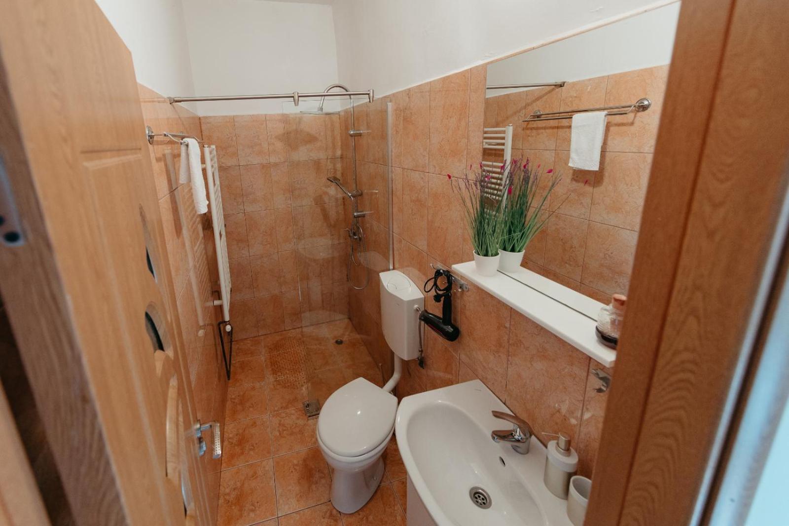 Flh - Apartament Mai Cu Aroma De Cafea Si Ceai Сибиу Экстерьер фото